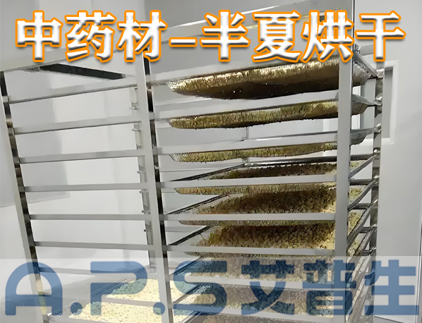 中藥材半夏烘干，除了傳統(tǒng)的烘干方法，首選推薦使用艾普生空氣能熱泵烘干機