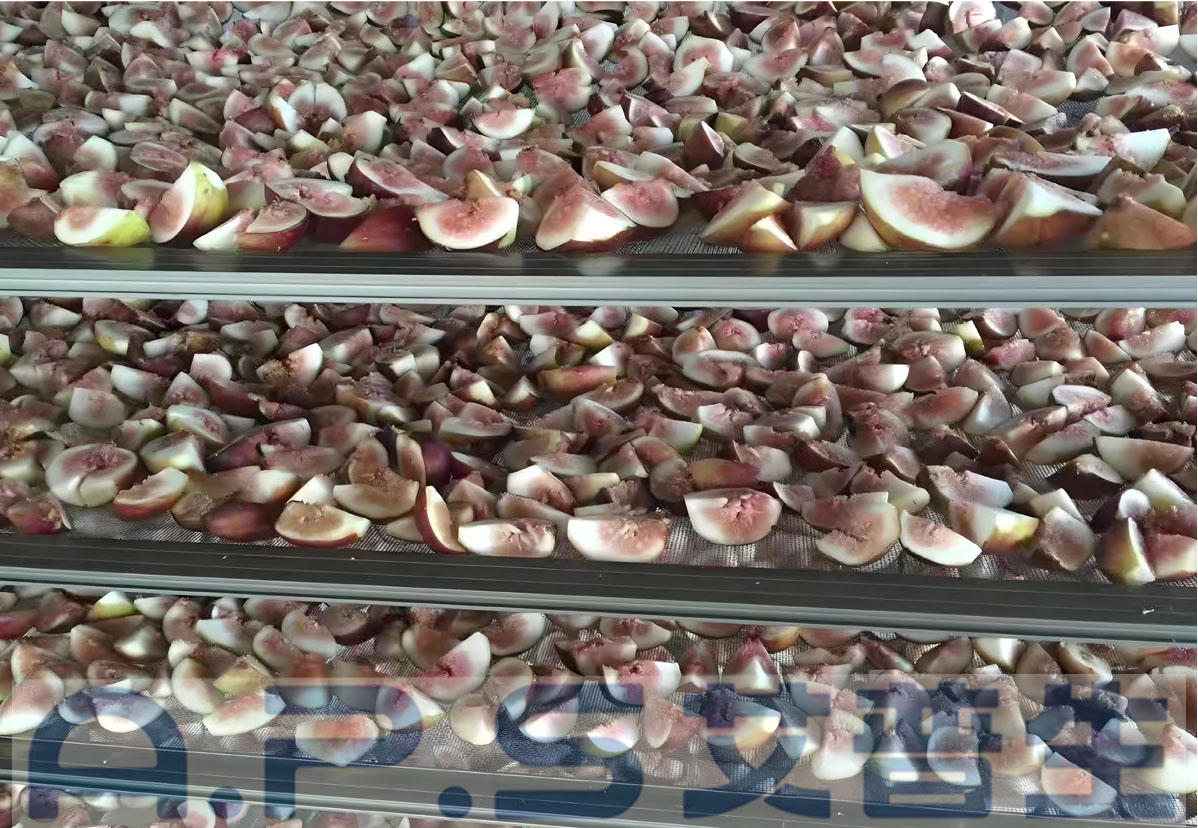 8、無(wú)花果烘干 詳情頁(yè)=1.jpg