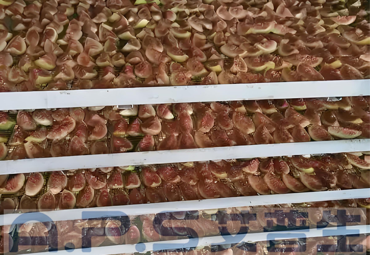 8、無(wú)花果烘干 詳情頁(yè)=2.jpg